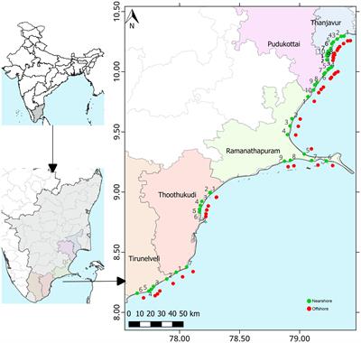 Assessment of phytoplankton diversity, distribution, and environmental variables along the southeast coast of India